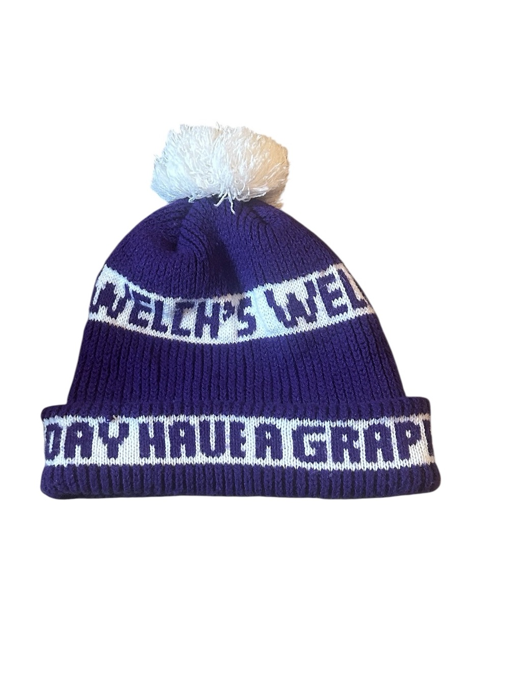 Vintage Welchs Have A Grape Day Knit Pom Beanie Hat Made In USA Purple Promo